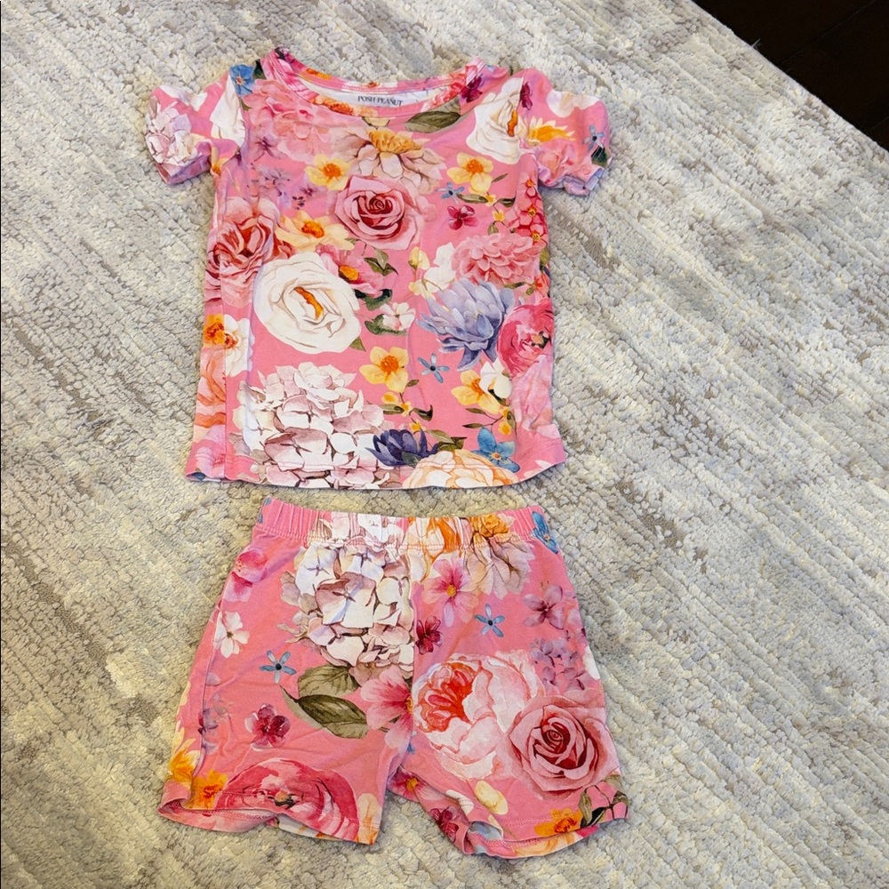 Posh peanut 2t girls flower Pajama Set